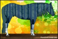 Horse Color:Watercolor Black 