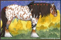 Horse Color:Bay Near Leopard 