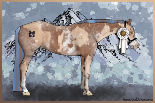 Horse Color:Painted Gold Champagne  and Painted White Spotted Chestnut 
