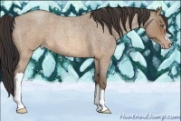 Horse Color:Sable Champagne Roan