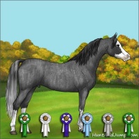 Horse Color:Blue Roan Sabino Splash and Blue Roan Sabino Splash