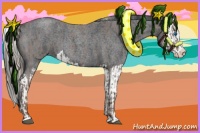 Horse Color:Silver Blue Roan Sabino Splash and Blue Roan Sabino Splash