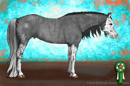Horse Color:Blue Roan Sabino Splash  and Blue Roan Sabino Splash Rabicano 