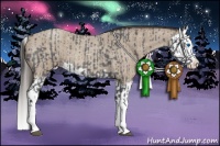 Horse Color:Blue Roan Sabino Splash  and Classic Champagne Roan Sabino Splash 