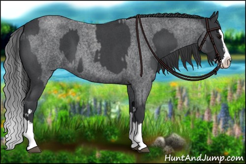 Horse Color:Blue Roan Sabino Splash  and Blue Roan Sabino Splash 
