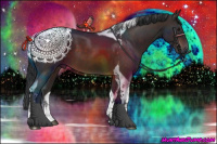 Horse Color:Brown Tobiano 