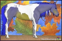 Horse Color:Watercolor Bay Tobiano