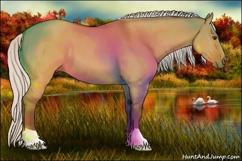 Horse Color:Silver Buckskin Dun 