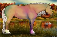 Horse Color:Silver Buckskin Dun