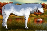 Horse Color:Watercolor White Spotted Chestnut 