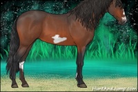 Horse Color:Bay Roan Frame 