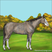 Horse Color:Blue Roan Sabino Splash  and Classic Champagne Roan Sabino Splash 
