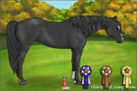 Horse Color:Black Sabino
