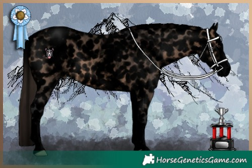 Horse Color:Void White Spotted Brown Dun Splash Appaloosa 
