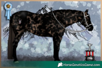 Horse Color:Void White Spotted Brown Dun Splash Appaloosa 