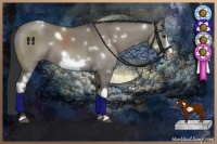 Horse Color:White Spotted Grullo Frame