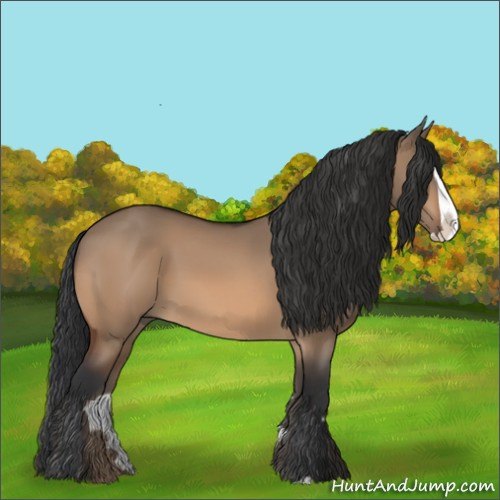 Horse Color:Brown Dun Splash 