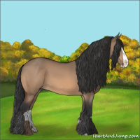 Horse Color:Brown Dun Splash 