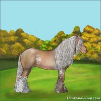 Horse Color:White Spotted Silver Black Pearl Sabino 