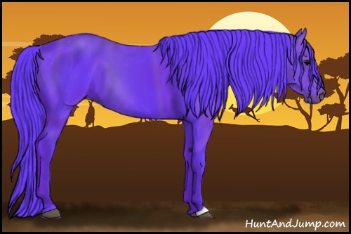 Horse Color:Watercolor Black 