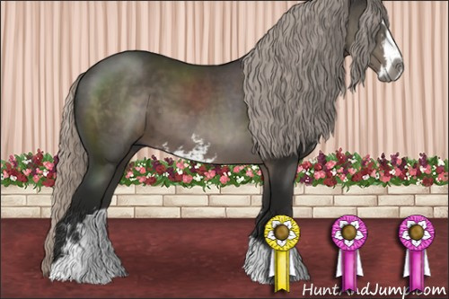 Horse Color:Gray Silver Black Sabino 