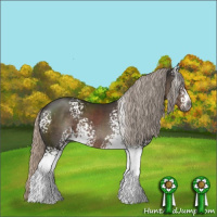 Horse Color:Gray White Spotted Silver Black Sabino 