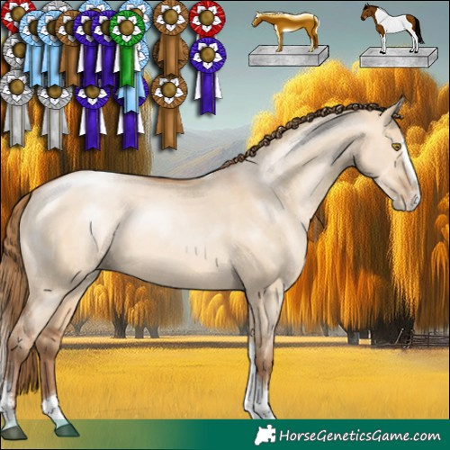 Horse Color:Brown Pearl Dun Sabino Splash Tobiano Rabicano 