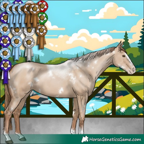 Horse Color:White Spotted Grullo Pearl Splash Tobiano Rabicano 