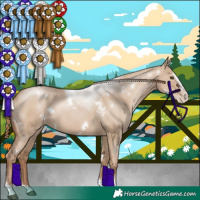 Horse Color:White Spotted Grullo Pearl Splash Tobiano Rabicano