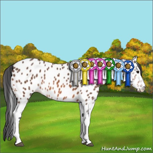 Horse Color:Bay Sabino Leopard