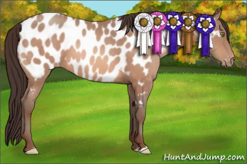 Horse Color:Sable Champagne Near Leopard