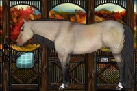 Horse Color:Brown Dun 