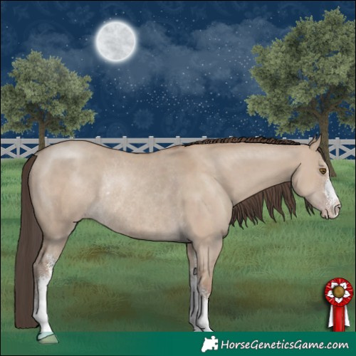 Horse Color:Classic Champagne Dun Sabino Rabicano 