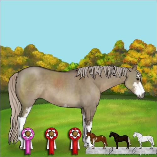 Horse Color:Gray Silver Grullo Sabino