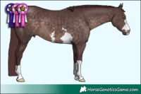 Horse Color:Platinum Chocolate Brown 