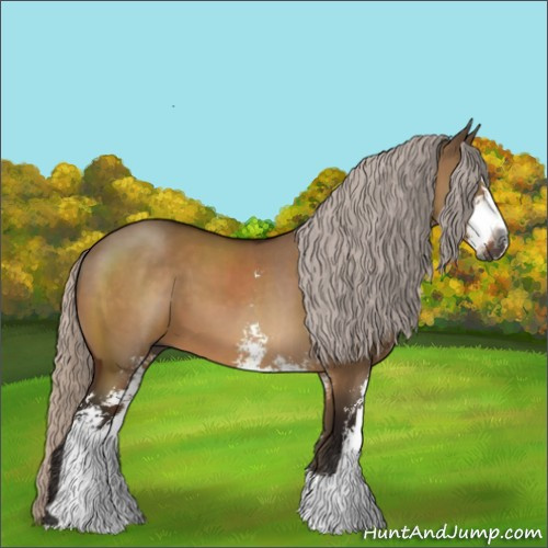Horse Color:Gray Silver Brown Dun Sabino
