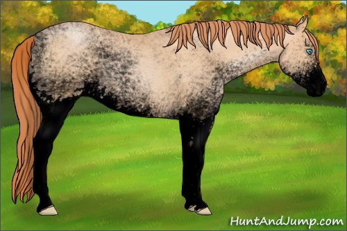 Horse Color:Void White Spotted Buckskin Pearl 