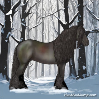 Horse Color:Void Smoky Black