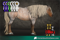 Horse Color:Chocolate Palomino Roan 