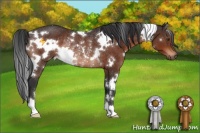 Horse Color:White Spotted Brown Rabicano