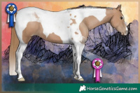 Horse Color:Black Pearl Tobiano 