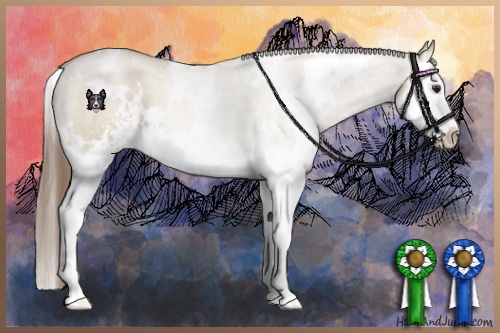 Horse Color:White Spotted Grullo Pearl Sabino Splash 