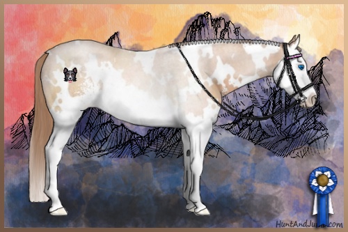 Horse Color:White Spotted Brown Pearl Sabino Splash 