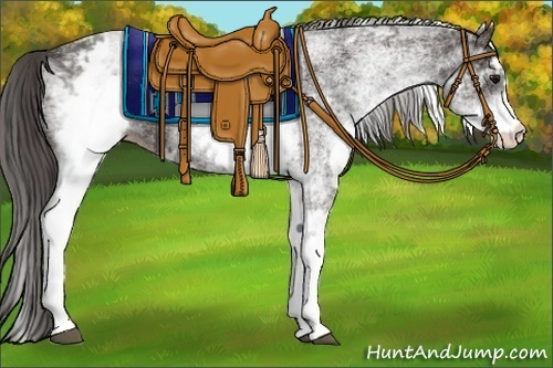 Horse Color:White Spotted Smoky Black Rabicano