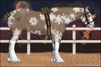 Horse Color:Liver Red Dun Ice Sabino Splash 