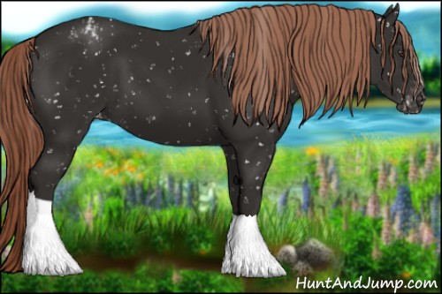 Horse Color:Liver Chestnut Snowflake Varnish