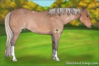 Horse Color:Silver Brown