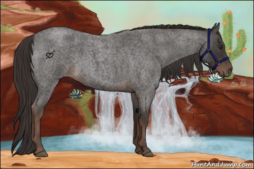 Horse Color:Liver Red Roan 