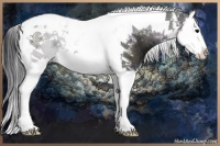 Horse Color:Midnight Blue Onyx Ice Splash Tobiano 