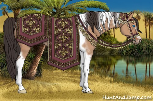 Horse Color:Bay Dun Tobiano Frame Rabicano 